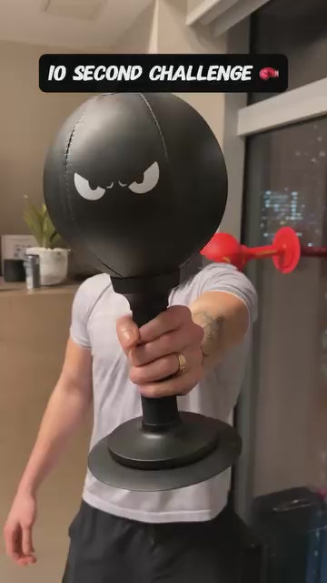 Standing Boxing Punch Bag Speed Ball